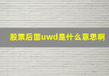 股票后面uwd是什么意思啊