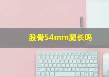 股骨54mm腿长吗