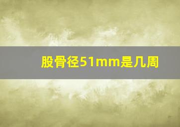 股骨径51mm是几周