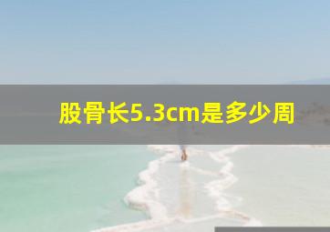 股骨长5.3cm是多少周