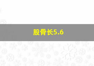 股骨长5.6