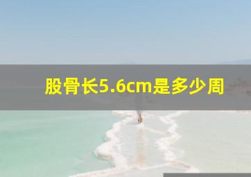 股骨长5.6cm是多少周