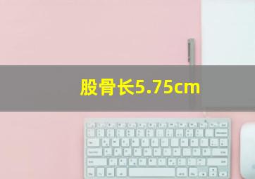 股骨长5.75cm