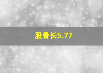 股骨长5.77