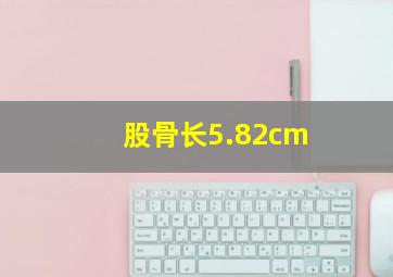 股骨长5.82cm