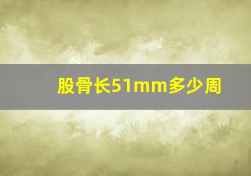 股骨长51mm多少周