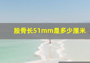 股骨长51mm是多少厘米