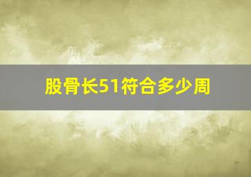 股骨长51符合多少周