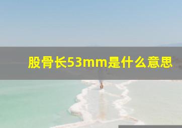 股骨长53mm是什么意思