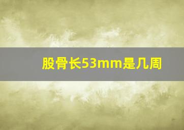 股骨长53mm是几周