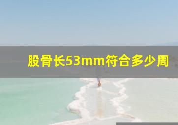 股骨长53mm符合多少周