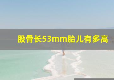 股骨长53mm胎儿有多高