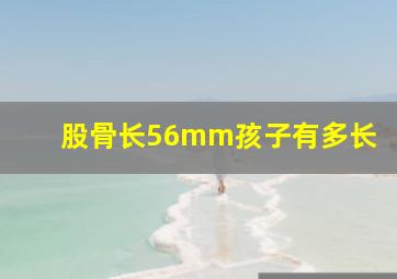 股骨长56mm孩子有多长