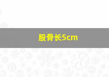 股骨长5cm