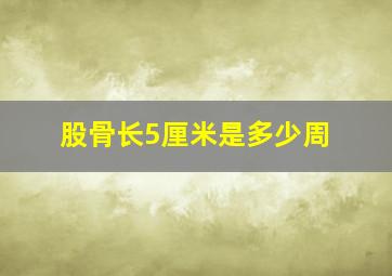 股骨长5厘米是多少周