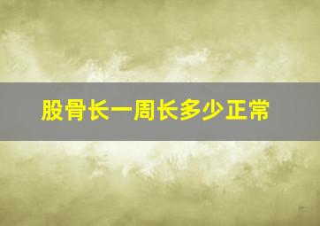 股骨长一周长多少正常