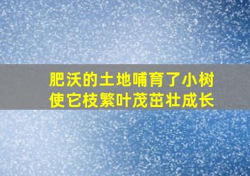 肥沃的土地哺育了小树使它枝繁叶茂茁壮成长