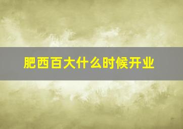 肥西百大什么时候开业