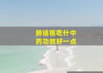 肺结核吃什中药功效好一点