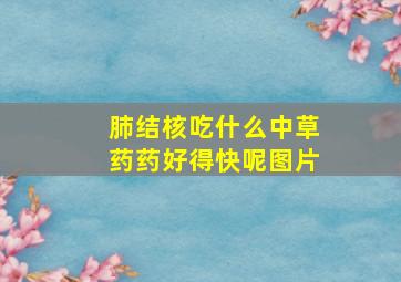 肺结核吃什么中草药药好得快呢图片