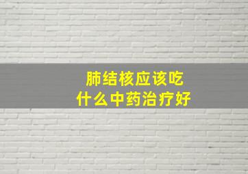 肺结核应该吃什么中药治疗好