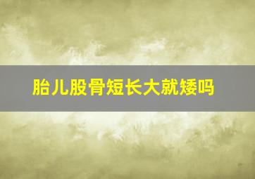 胎儿股骨短长大就矮吗