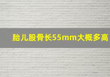 胎儿股骨长55mm大概多高