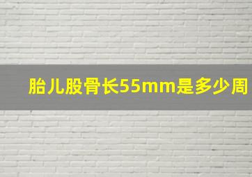 胎儿股骨长55mm是多少周