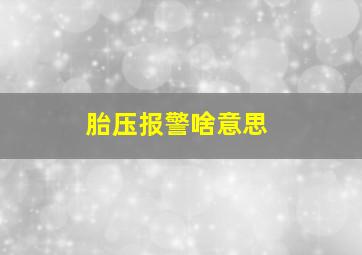 胎压报警啥意思