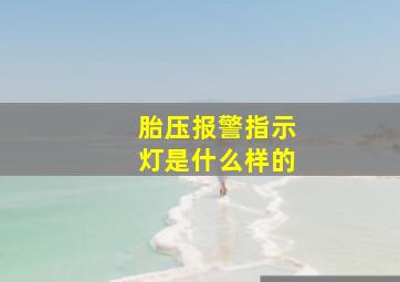 胎压报警指示灯是什么样的