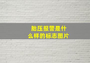 胎压报警是什么样的标志图片