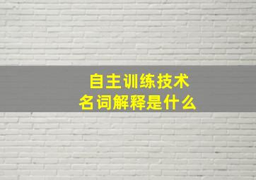 自主训练技术名词解释是什么