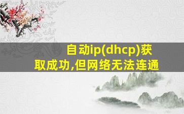 自动ip(dhcp)获取成功,但网络无法连通