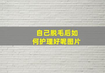 自己脱毛后如何护理好呢图片