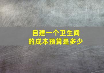 自建一个卫生间的成本预算是多少