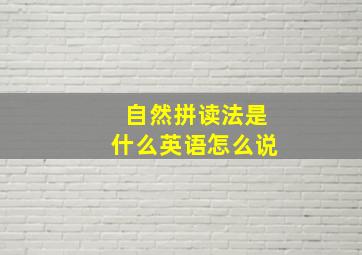 自然拼读法是什么英语怎么说