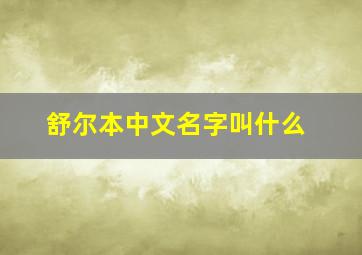 舒尔本中文名字叫什么