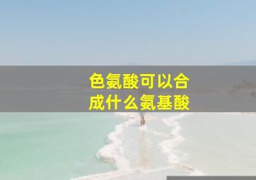 色氨酸可以合成什么氨基酸