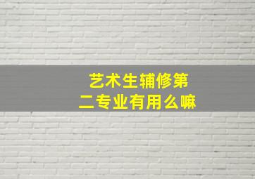 艺术生辅修第二专业有用么嘛