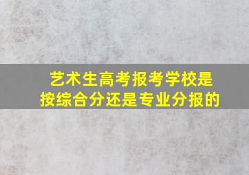 艺术生高考报考学校是按综合分还是专业分报的