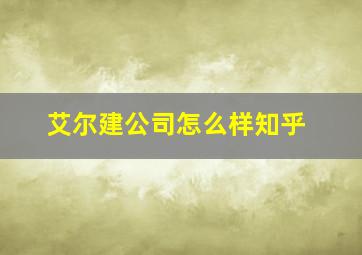 艾尔建公司怎么样知乎