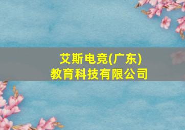 艾斯电竞(广东)教育科技有限公司