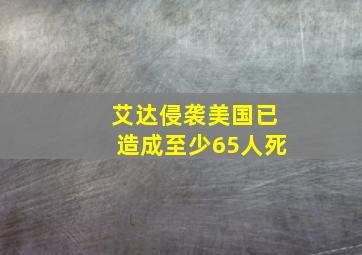 艾达侵袭美国已造成至少65人死