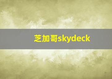 芝加哥skydeck