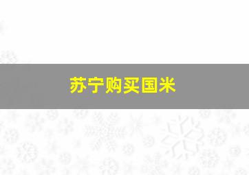 苏宁购买国米