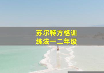 苏尔特方格训练法一二年级