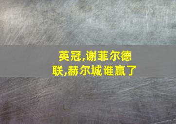 英冠,谢菲尔德联,赫尔城谁赢了