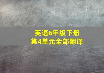 英语6年级下册第4单元全部翻译