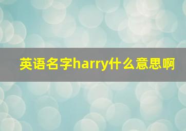 英语名字harry什么意思啊