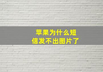 苹果为什么短信发不出图片了